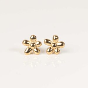 Boucles d’Oreilles Valentine