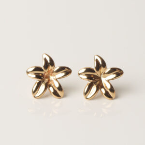 Boucles D'oreilles Licia