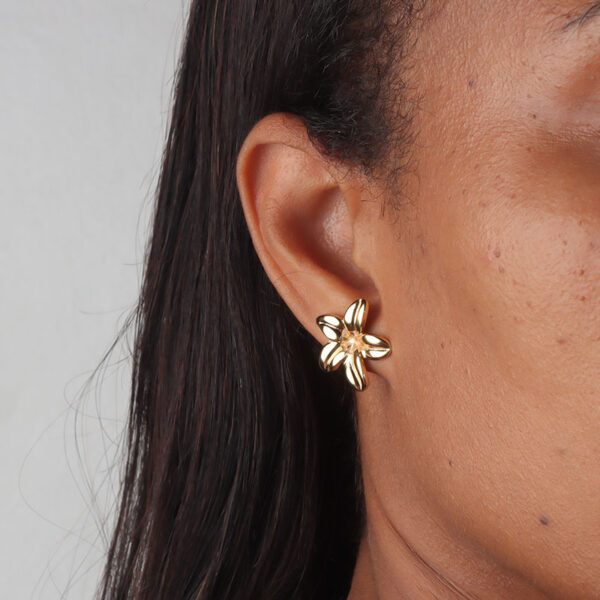 Boucles D'oreilles Licia