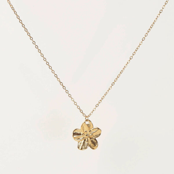 Collier Haley